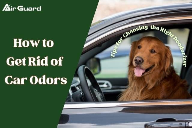 HowtoGetRidofCarOdors
