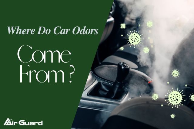 wheredocarodorscomefrom01