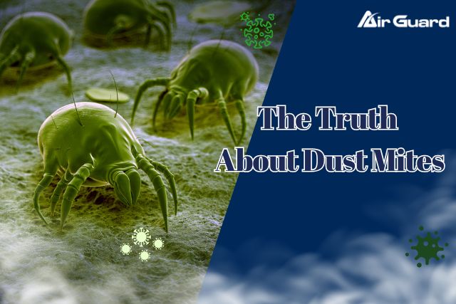 DustMites01