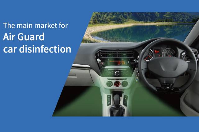 the main market banner